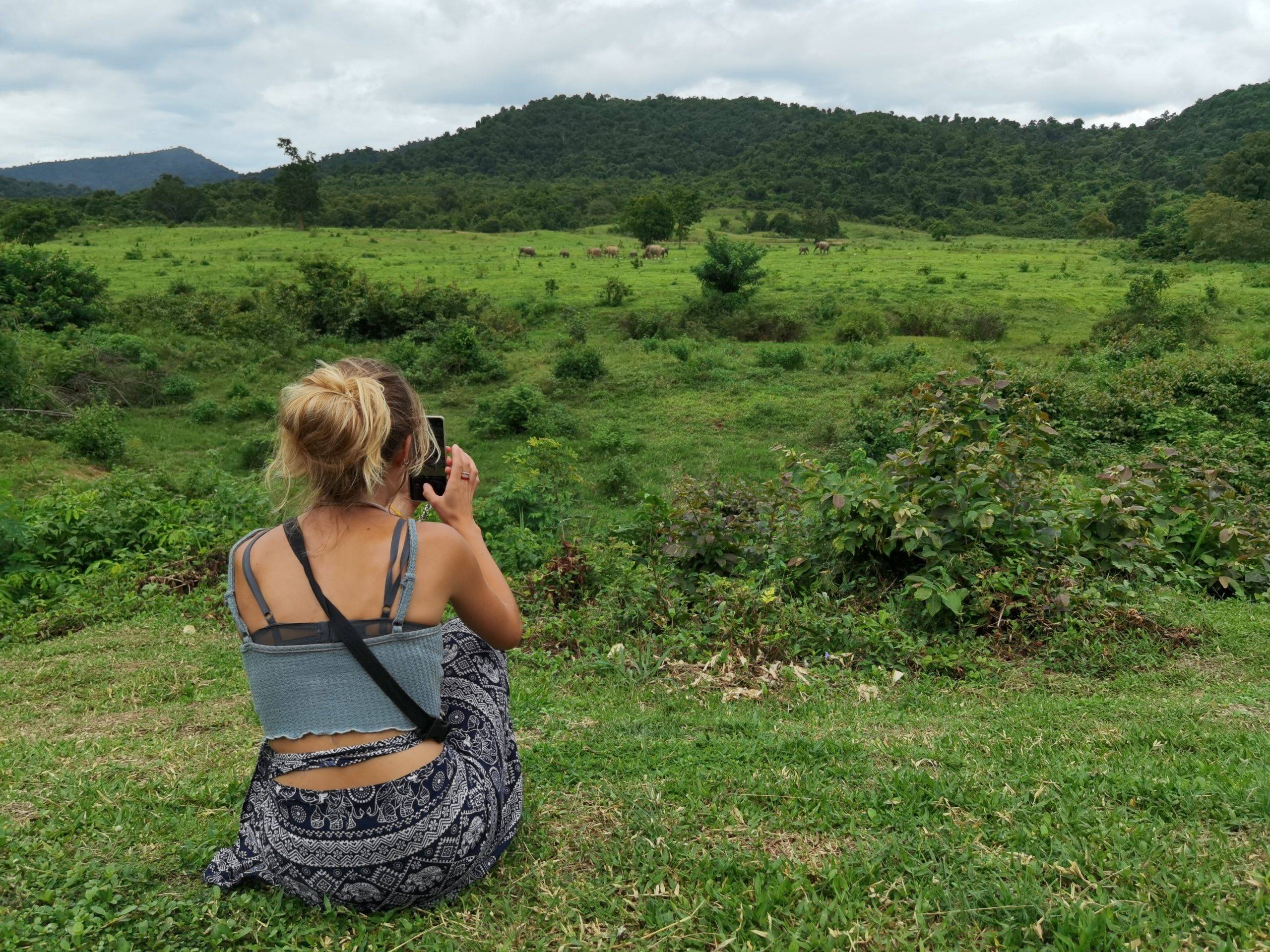 Fotografiant Elefants a Kui Buri, Caraalvent.catFamília d'Elefants a Kui Buri, Caraalvent.cat