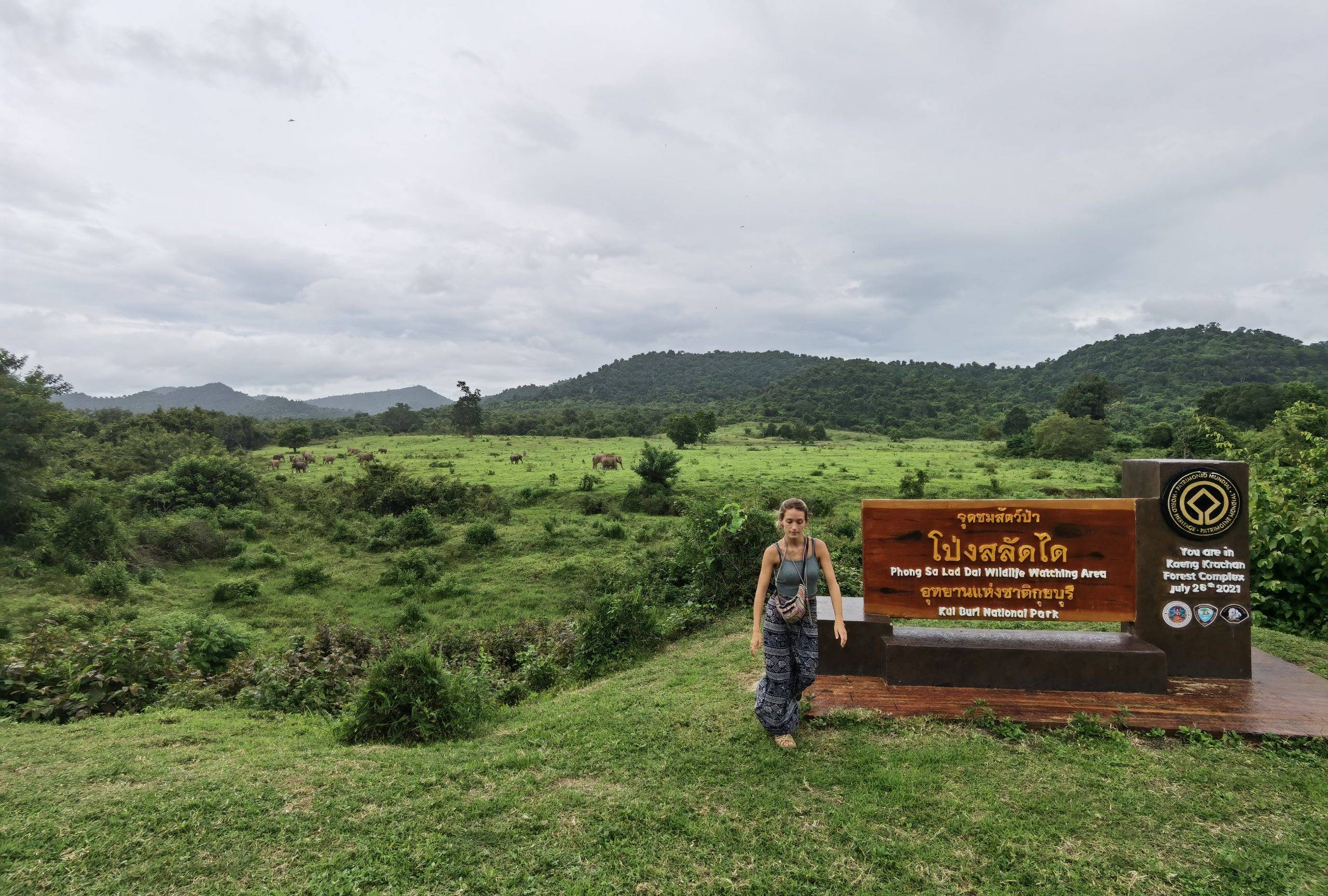 Fotografiant Elefants a Kui Buri, Caraalvent.catFamília d'Elefants a Kui Buri, Caraalvent.cat