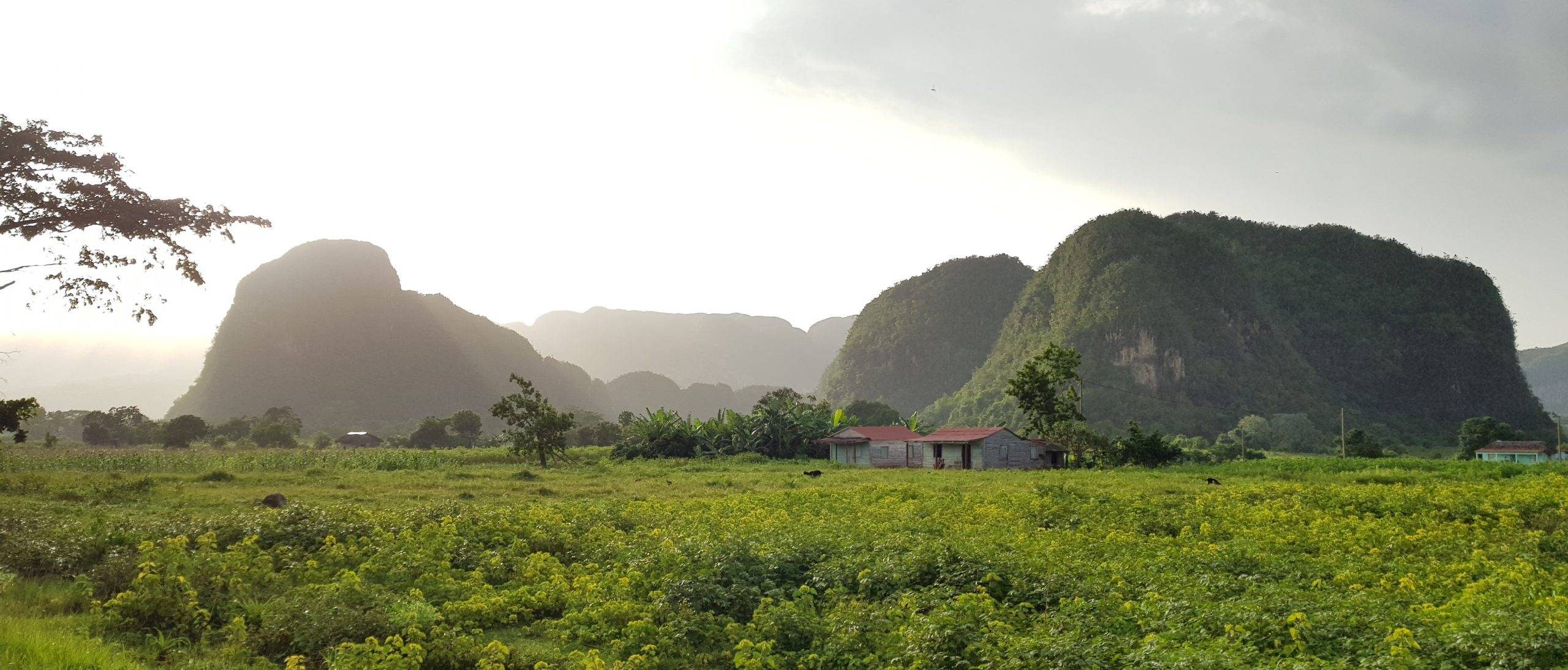 Viñales, Cuba, caraalvent.cat.com